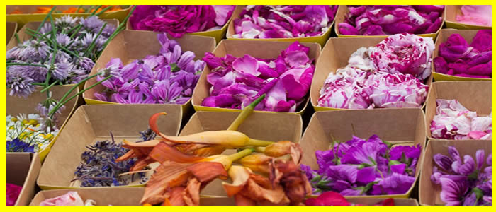 pétale de fleur bio